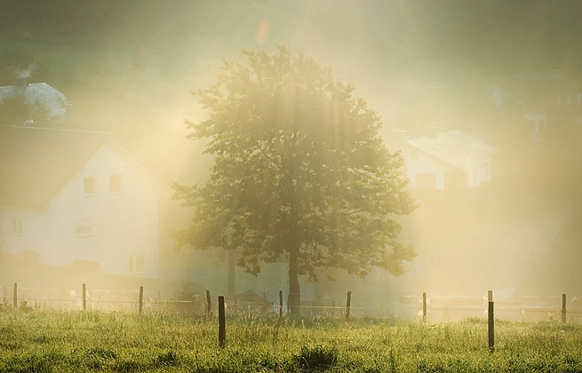 网页免费发手机号